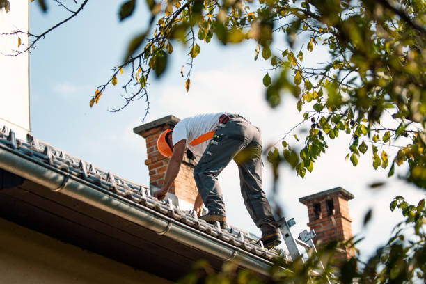 Best Sealant for Roof  in Little Round Lake, WI