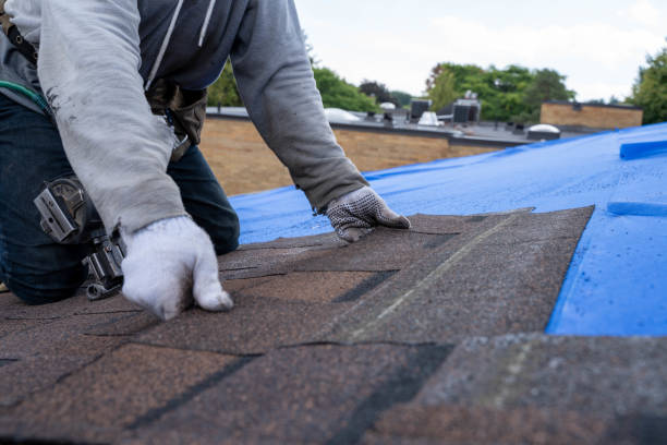 Best New Roof Installation  in Little Round Lake, WI